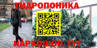 кокс Донской
