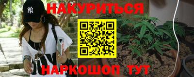 кокс Донской