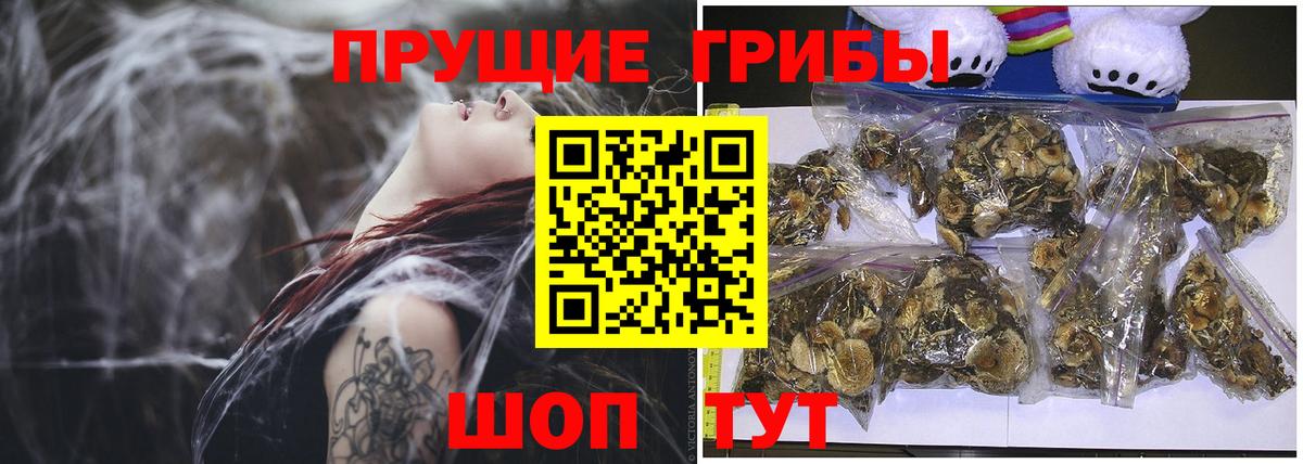 Галлюциногенные грибы мицелий  Вход с VPN  Лосино-Петровский  Галлюциногенные грибы мицелий 